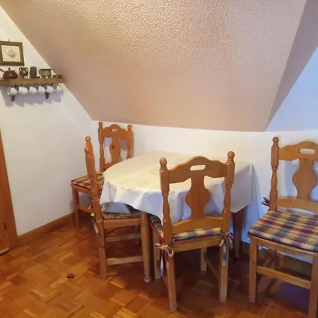 ático En Pleno Pirineo Apartamento